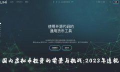 国内虚拟币投资的前景与挑战：2023年透视