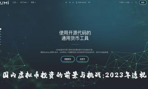 国内虚拟币投资的前景与挑战：2023年透视