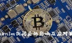 Tokenim倒闭后的影响及应对策略
