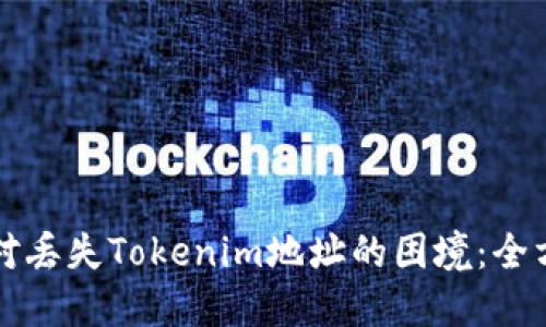 如何应对丢失Tokenim地址的困境：全方位指南